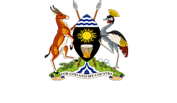 NewLogo2
